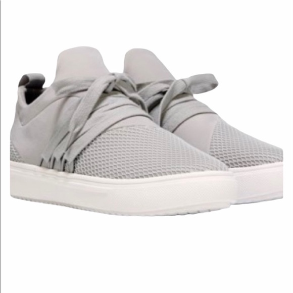 Steve Madden Lancer Sneaker in Grey - Picture 1 of 8